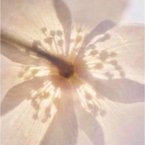 Meet your Posher, Gabrielle